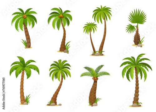 Cartoon jungle coconut palm trees. Vivid vector set featuring isolated jungle plants with lush fronds  capturing the essence of tropical beauty. Vibrant exotic flora  2d game assets or gui elements