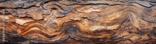 A close-up of tree bark, revealing the age and stories of forests, the lungs of our planet, under threat