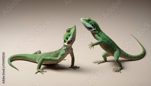 Lizards In A Playful Interaction On A Smooth Surfa