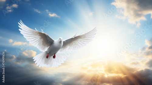 A white dove flies in the sky above a blue and white cloud