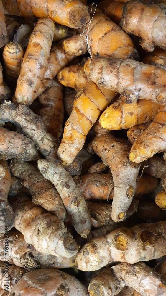Close up pile of tasty fresh turmeric sold at the market as a background. Close up pile of tasty fresh turmeric sold at the market as a background.