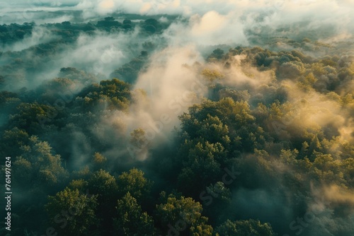 Aerial view of misty forest, ideal for nature themes