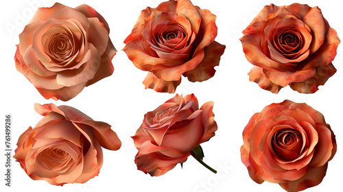 Chicago Peace Rose: Vibrant Digital Art 3D Illustration of Isolated Floral Bloom, Perfect for Romantic Designs and Valentine's Day Decorations on Transparent Backgrounds. photo