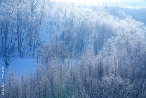 【北海道美瑛町の厳冬期の絶景】美しい霧氷の木々 2月