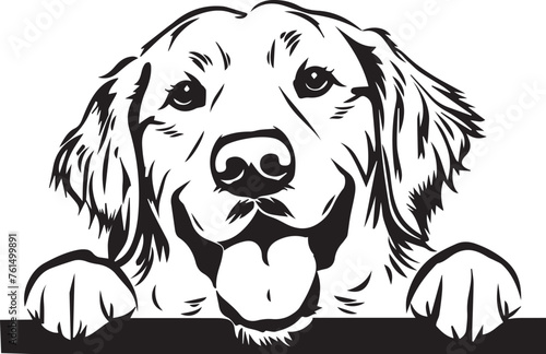illustration of a peeking golden retriever dog