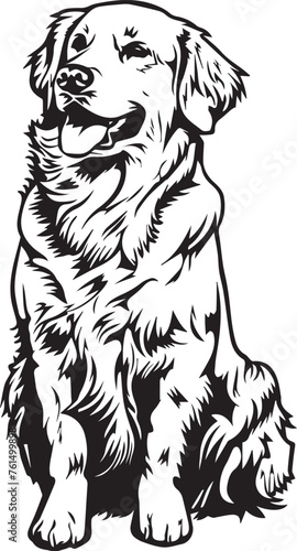 black and white golden retriever dog