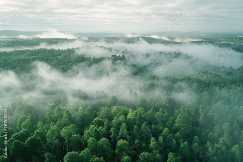 Aerial view of a forest with fog in the air. Suitable for nature and landscape concepts © Fotograf
