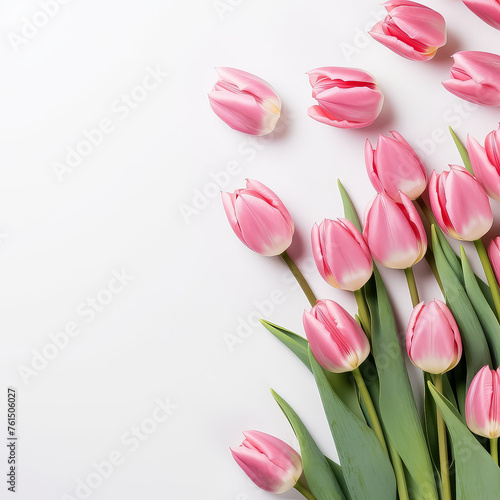 A row of pink tulips with green stems are arranged in a row