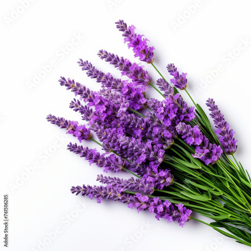 A bouquet of purple flowers with a white background