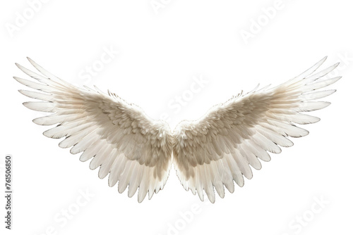 Angel wings originating from an ethereal being, suspended in space, high-quality stock photos, isolated against an immaculate white backdrop, strong contrast, ultra clear, thick feather detail