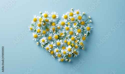 Chamomile flowers arranged in shape of heart, view from above. Generative AI