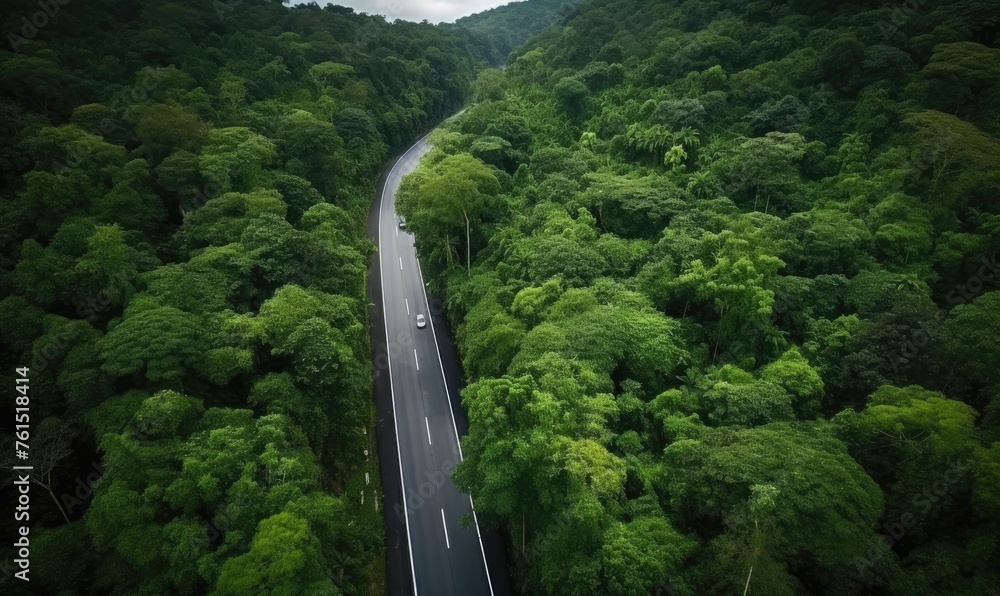 highway in the rainforest, aerial view 