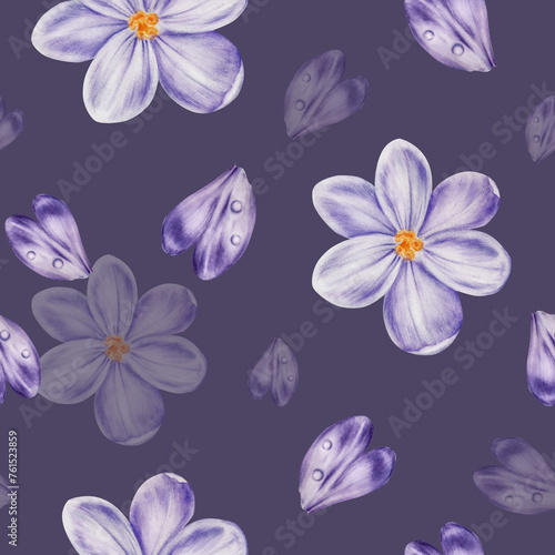 Watercolor seamless pattern with purple blooming crocus flower isolated on background. Spring and easter botanical hand painted saffron illustration. For designers, wedding, decoration, postcar photo