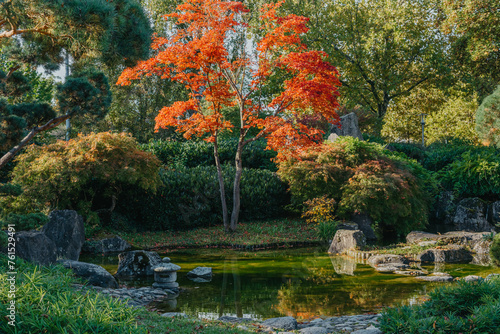 Beautiful calm scene in spring Japanese garden. Japan autumn image. Beautiful Japanese garden with a pond and red leaves. Pond in a Japanese garden.