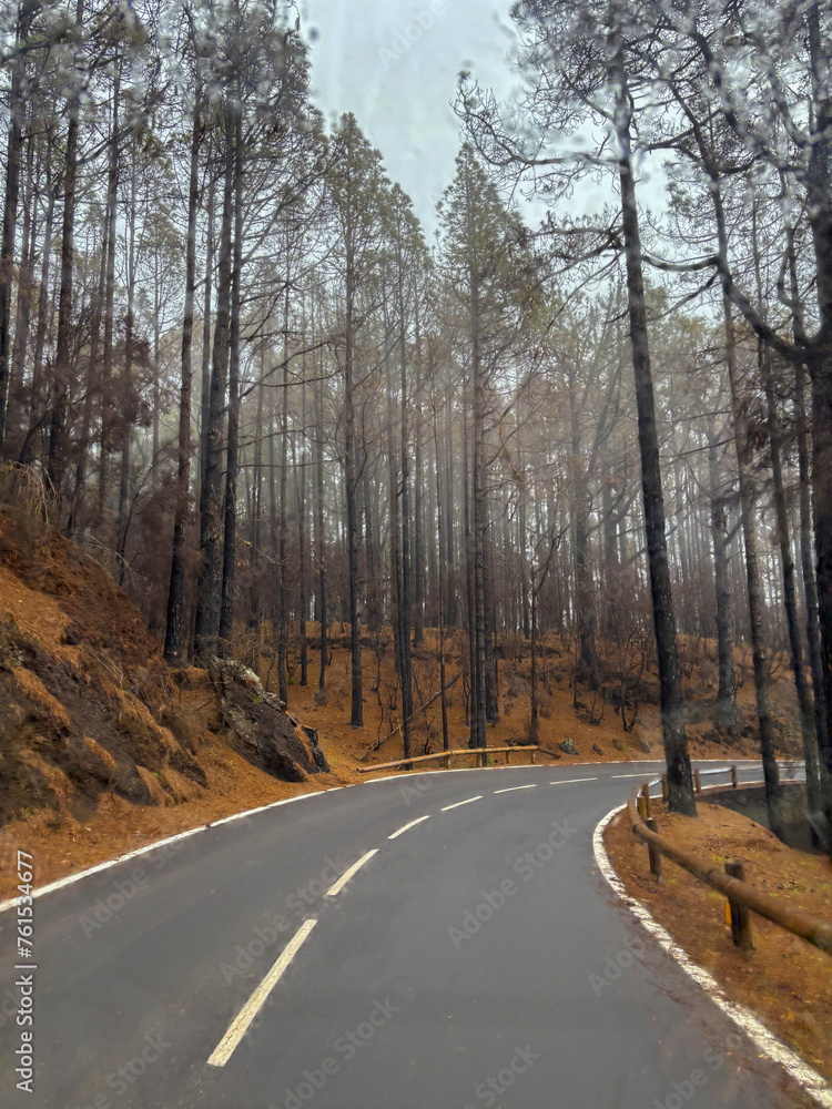 Scenic road in rainy bad weather. Travel concept with long straight asphalt road in the nature with trees and woods forest around. Travel lifestyle. Scenic destination. Rain and clouds Scenic road in rainy bad weather. Travel concept with long straight asphalt road in the nature with trees and woods forest around. Travel lifestyle. Scenic destination. Rain and clouds