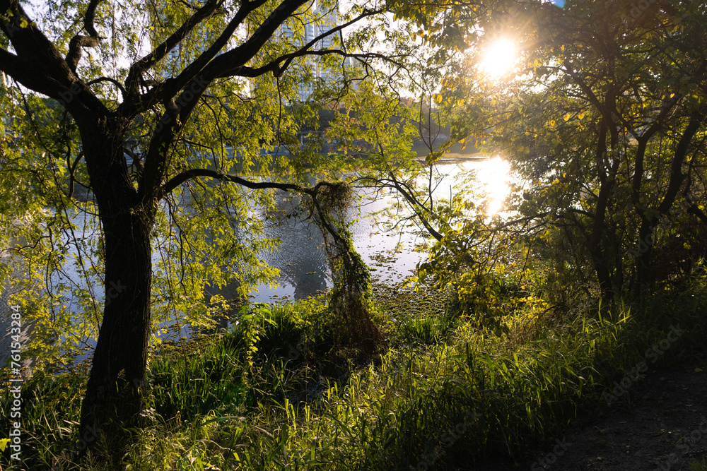 Beautiful Shore with Green Plants and Trees along the Buenos Aires Ecological Reserve Lagoon during a Sunset Beautiful Shore with Green Plants and Trees along the Buenos Aires Ecological Reserve Lagoon during a Sunset