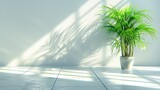 A potted green plant casts shadows on floor in an empty room with white walls and tile flooring.
