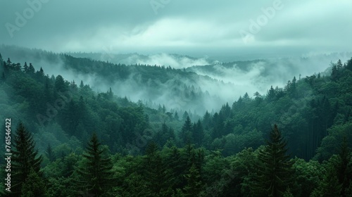 Amazing mystical rising fog forest trees landscape in black forest blackforest ( Schwarzwald ) Germany panorama banner #761546422