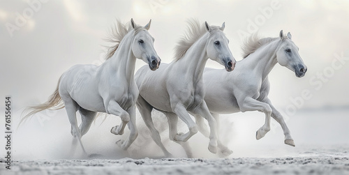 Horse in Motion Freeze-frame the dynamic movement of horses in motion  capturing their strength and grace against a neutral white backdrop Image generated by AI