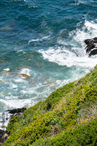 waves on the coasts with vegetation