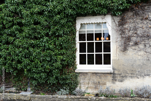 English Creeping Ivy Wall Vintage House
