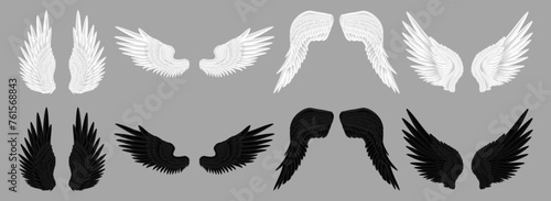 Pair of realistic wings of animal or fictional creature, character or personage of game. Vector fantasy or magic asset, plumelets of black and white color. Demon and angel, feathered decor