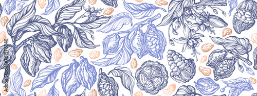 Cocoa sketch pattern Chocolate bean, leaves, fruit