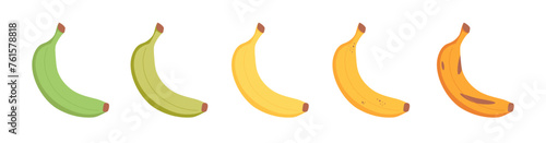 Banana ripeness stages. Different organic fruit peel color from green to brown, organic rotten and fresh ripe fruit.