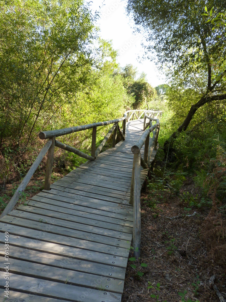 Sentier Parc national de Doñana