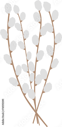 simple easter catkin willow spring branches bouquet cartoon vector