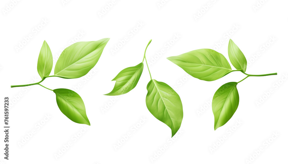 falling green leaves isolated on transparent background cutout