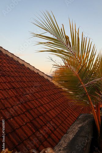 a photo taken in the afternoon above the house