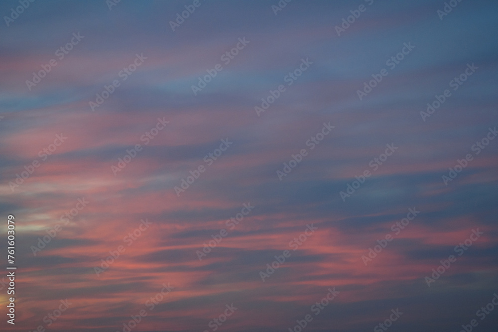 Stunningly beautiful multi-colored violet-pink-lilac evening sky with the yellow light of the setting sun, multi-colored clouds spreading from the lower horizon