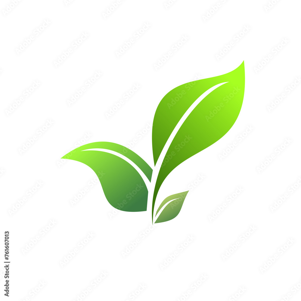 healthy three green leaves healthy three green leaves