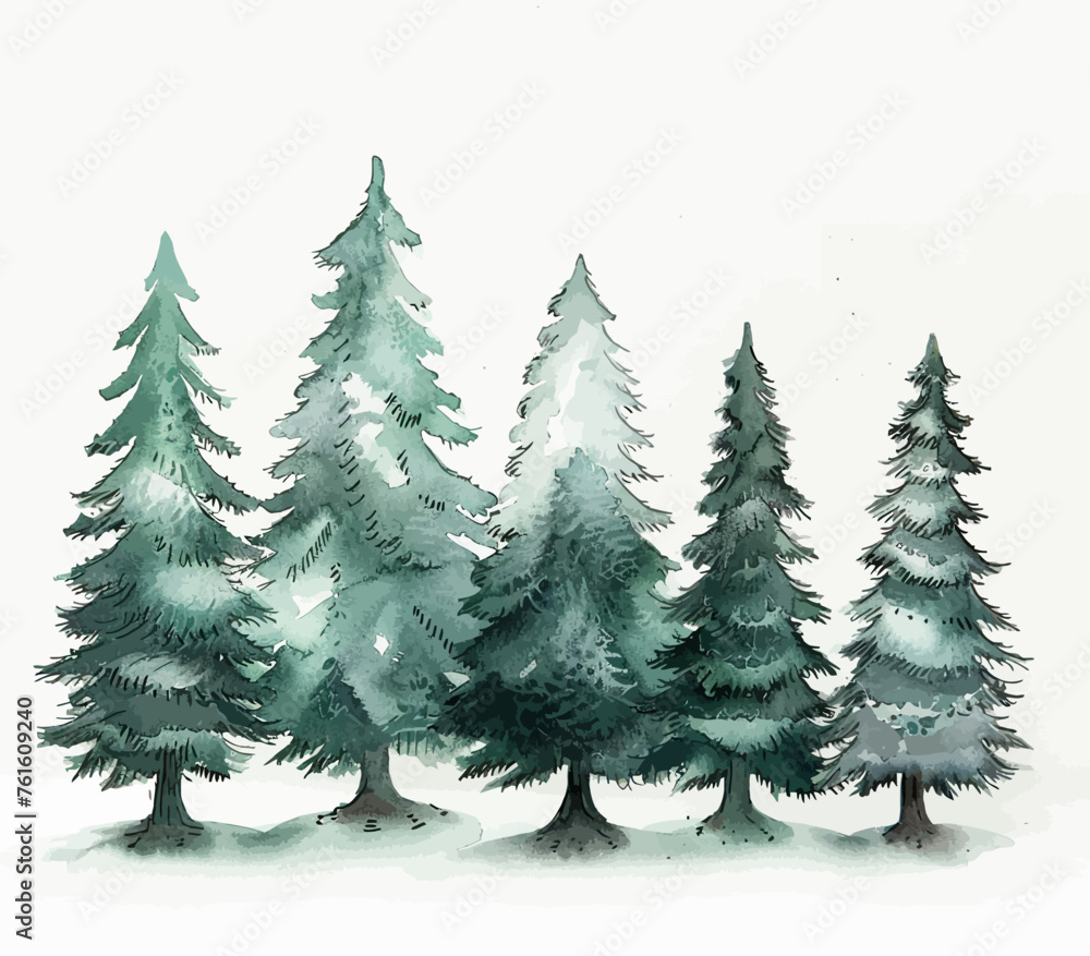 Pine Tree Watercolours