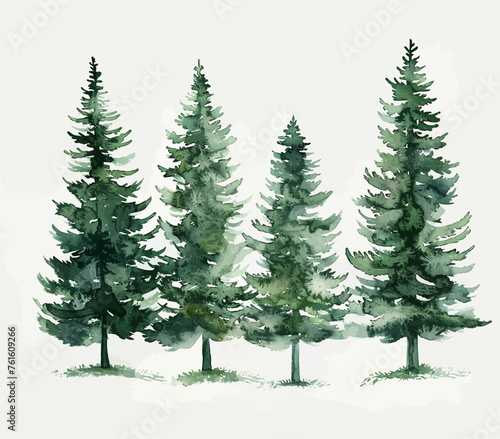 Pine Tree Watercolours