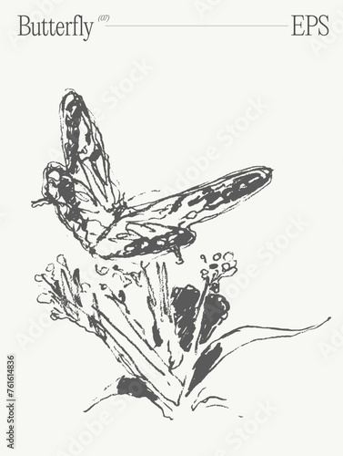 Hand drawn vector illustration of a butterfly on flower on blank backdrop. Sketch.