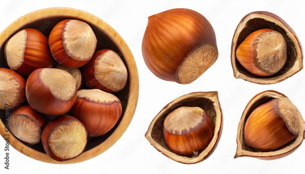 Set of filberts with hazelnut Isolated over white. Hazelnut clipping path . Set of filberts with hazelnut Isolated over white. Hazelnut clipping path .