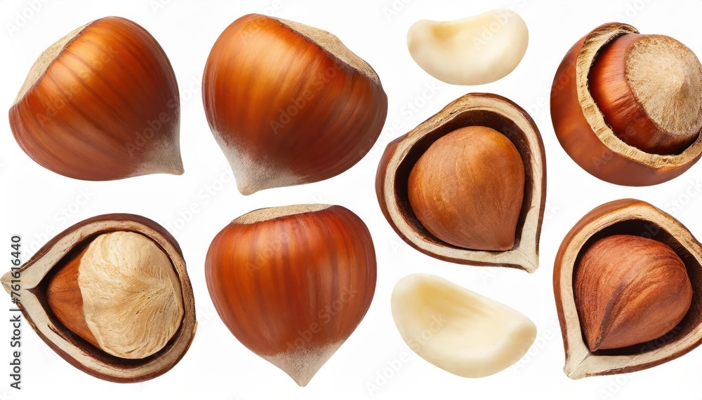 Set of filberts with hazelnut Isolated over white. Hazelnut clipping path . Set of filberts with hazelnut Isolated over white. Hazelnut clipping path .