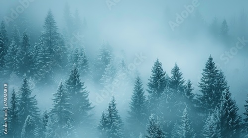 A serene, mist-filled forest landscape with snow-dusted evergreen trees conveying a tranquil winter mood.