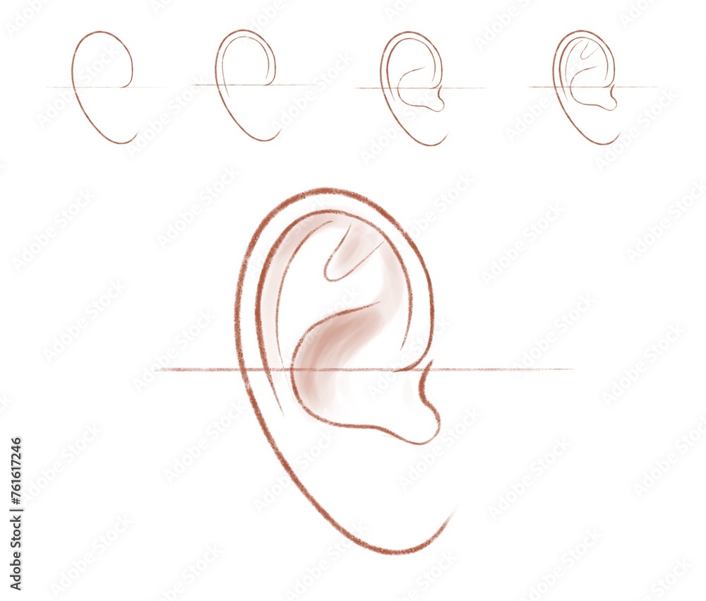 Ear. Sketch. Tutorial. Ear. Sketch. Tutorial.