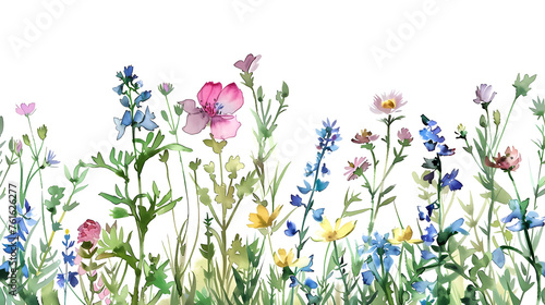 Wild flower border watercolor clipart. © KeroStocker