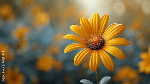  a close up of a yellow flower in a field of yellow flowers with a blurry background of blue and yellow flowers.