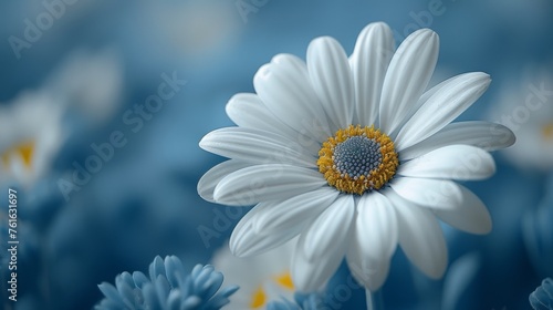  a white daisy with a yellow center surrounded by blue and yellow daisies in a field of blue and white daisies.