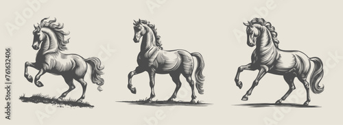 Horse vintage woodcut illustration for T-shirt. Generative AI