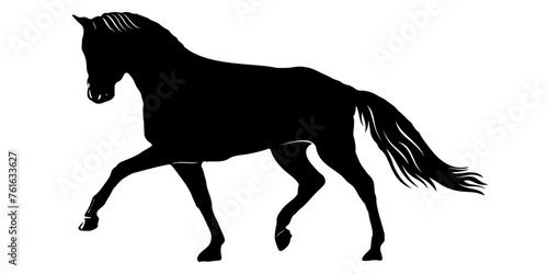 vector horse