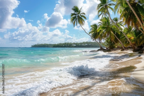 A beautiful beach with palm trees and a blue ocean