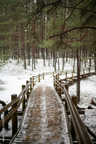 A hiking trail through a pine forest. Wooden path in winter scenery © Aalez