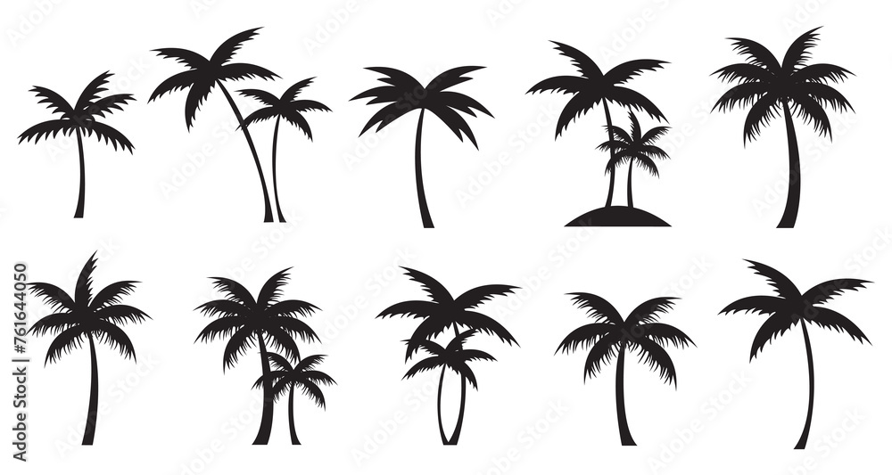 Set of tropical palm trees black silhouette. Vector Palms isolated.
