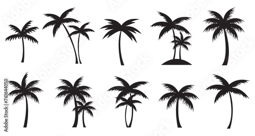 Set of tropical palm trees black silhouette. Vector Palms isolated.